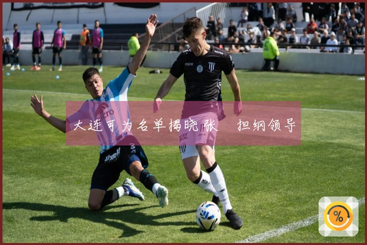 大连可为名单揭晓 张翀担纲领导